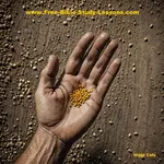 What is Mustard Seed Faith?  How do you increase your faith?  What is faith anyway?