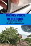 Have you ever wondered what the key verse of the Bible is?  Genesis 3:15 gives us the theme of everything that follows.  
