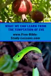 The temptation of Eve shows us the steps of temptation that Satan takes with us as well.