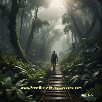 Walking alone in jungle