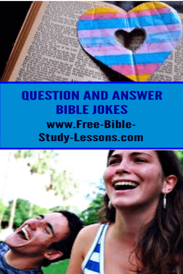 Bible Jokes: Questions and Answer