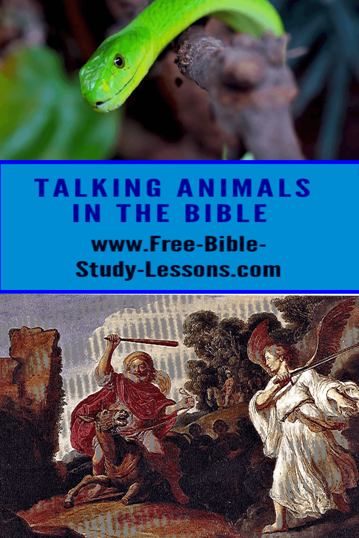Talking Animals In The Bible Talking Animals In The Bible
